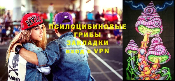 МДПВ Алексин