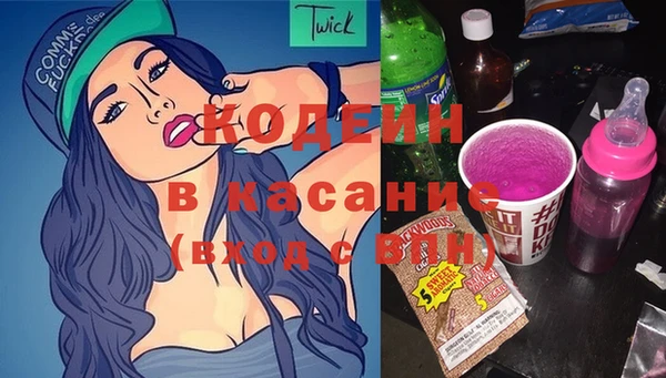 индика Вяземский