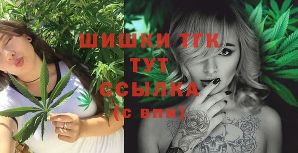 МДПВ Алексин
