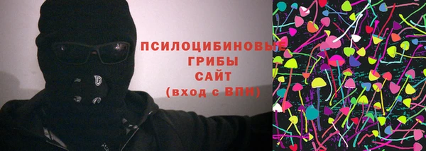 МДПВ Алексин