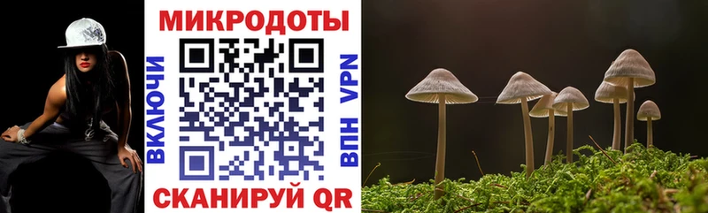 кракен зеркало  Зуевка  Галлюциногенные грибы MAGIC MUSHROOMS 