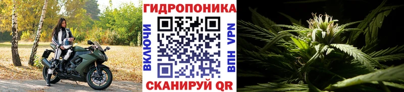 Бошки Шишки White Widow Зуевка