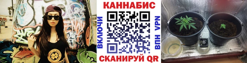 Конопля тримм  mega ссылка  Зуевка  купить  цена 